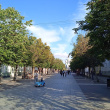 Гатчина. Соборная улица