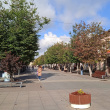 Гатчина. Соборная улица