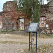 vyborg-staryj-kafedralnyj-sobor-13