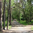 ekaterinburg-park-zelyonaya-roshha-12
