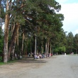 ekaterinburg-park-zelyonaya-roshha-18