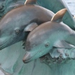 novorossijsk-skulptura-delfiny-05