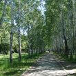 ekaterinburg-park-22-partsezda-03