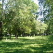 ekaterinburg-park-22-partsezda-04