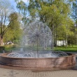 zelenogorsk-fontan-oduvanchik-04